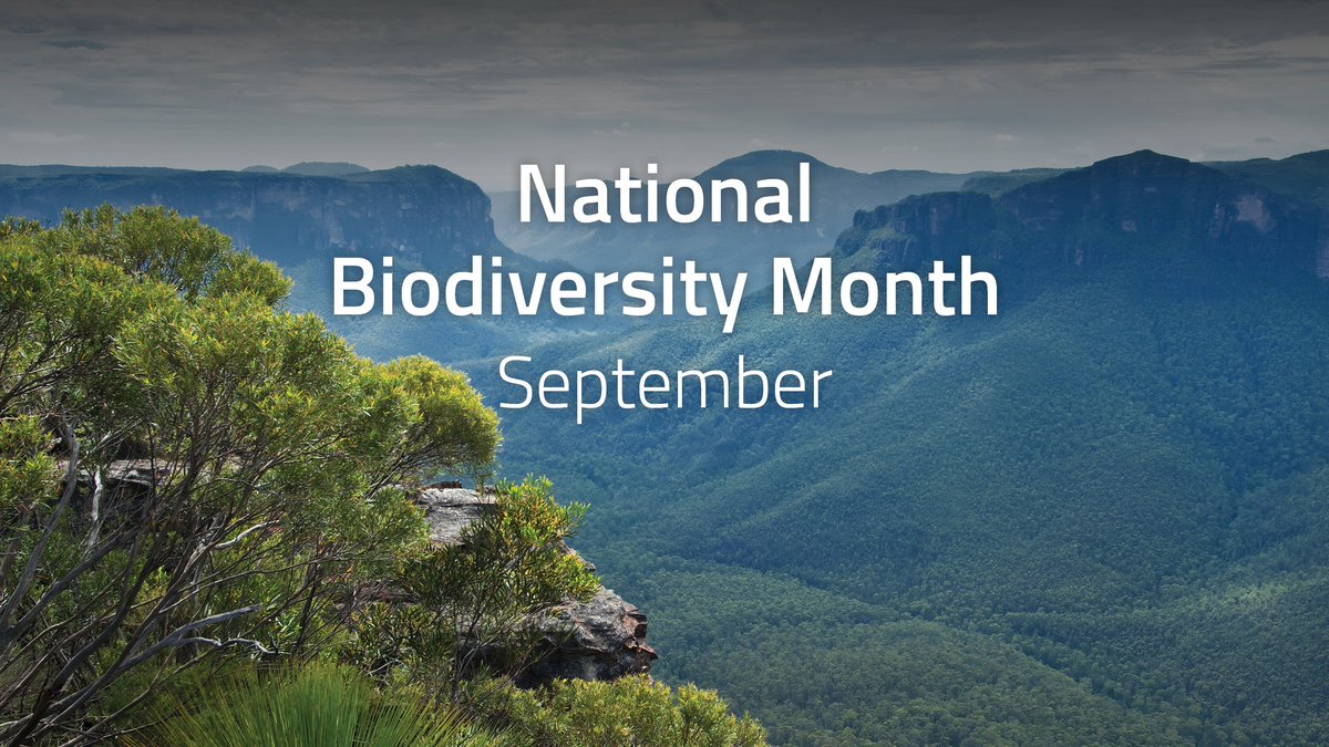 🌏 September is Biodiversity Month!
Australia is home to more than 500,000 plant and animal species — many found nowhere else in the world. 🐨🌱
Strong biosecurity helps protect what makes our country unique. 💚
🌱 Learn how you can make a difference:
dcceew.gov.au/environment/bi…