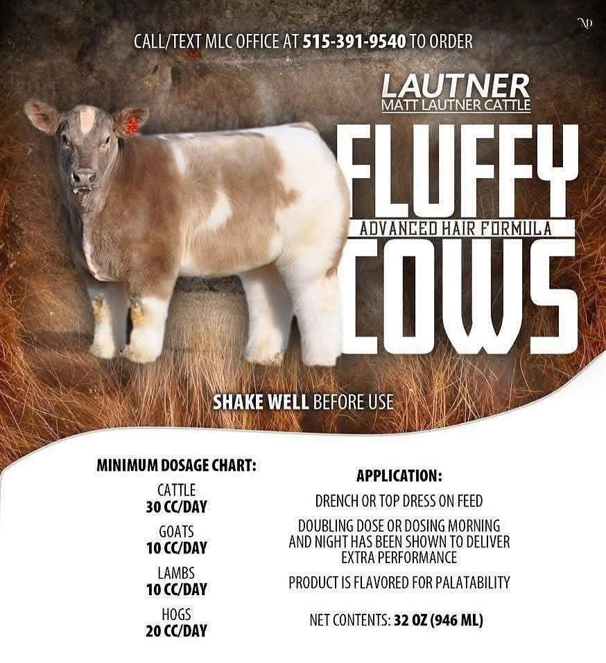 mattlautner's tweet image. From Carter Cech : Nebraska 

Grand Champion Southdown Ewe 
2025 Nebraska State Fair 
Shown By Carter Cech 

#FluffyCowsCustomer #HairSupplement 

#OrderToday 

-Order Today For Nationwide Shipment Thru MLC Office @ 515.391.9540

Big Time Results In Cattle, Goat, Lamb &amp;amp; Hog Barns