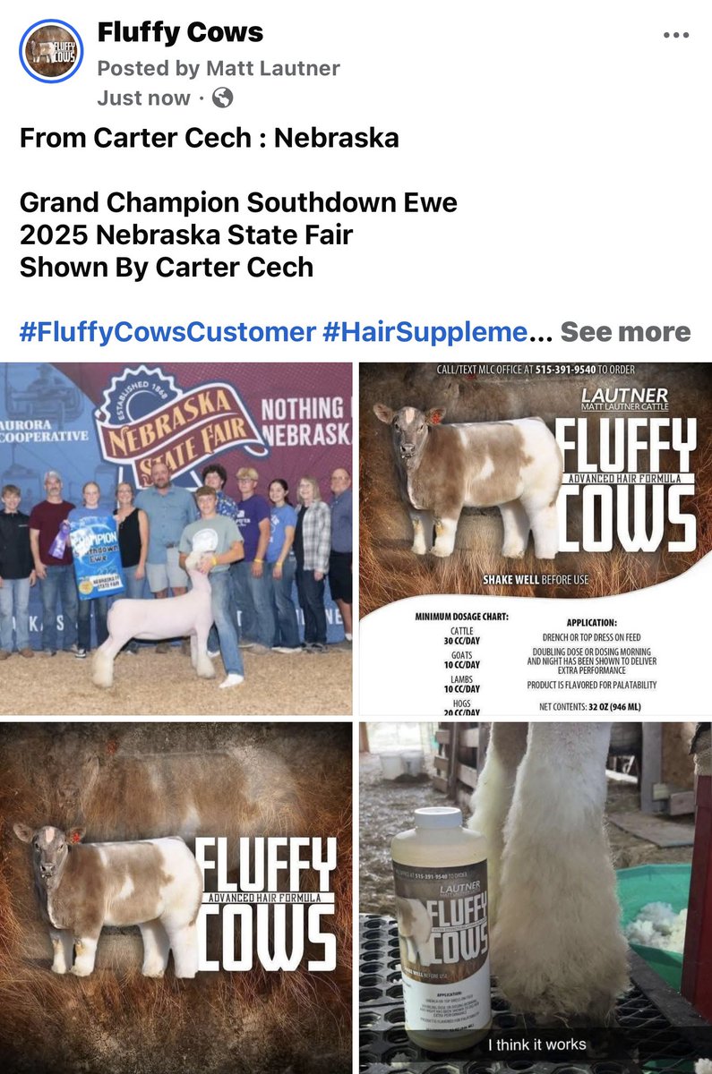 mattlautner's tweet image. From Carter Cech : Nebraska 

Grand Champion Southdown Ewe 
2025 Nebraska State Fair 
Shown By Carter Cech 

#FluffyCowsCustomer #HairSupplement 

#OrderToday 

-Order Today For Nationwide Shipment Thru MLC Office @ 515.391.9540

Big Time Results In Cattle, Goat, Lamb &amp;amp; Hog Barns