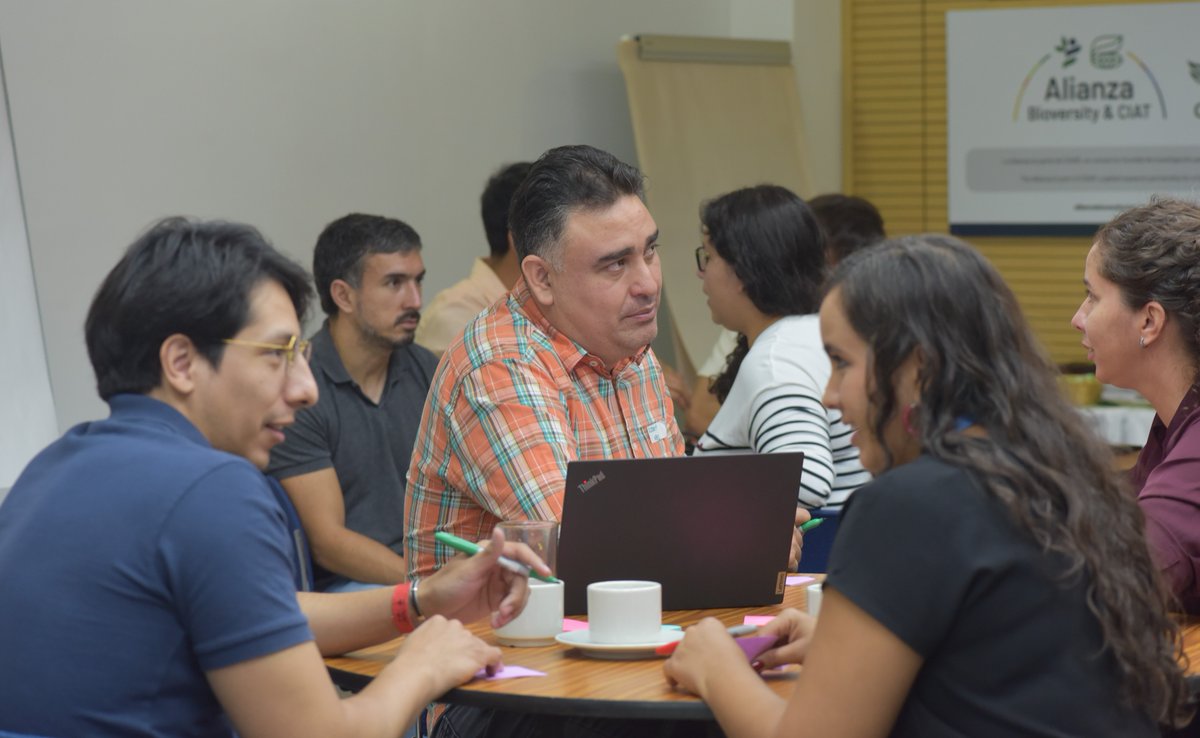 Alianza de Bioversity International y el CIAT tweet media