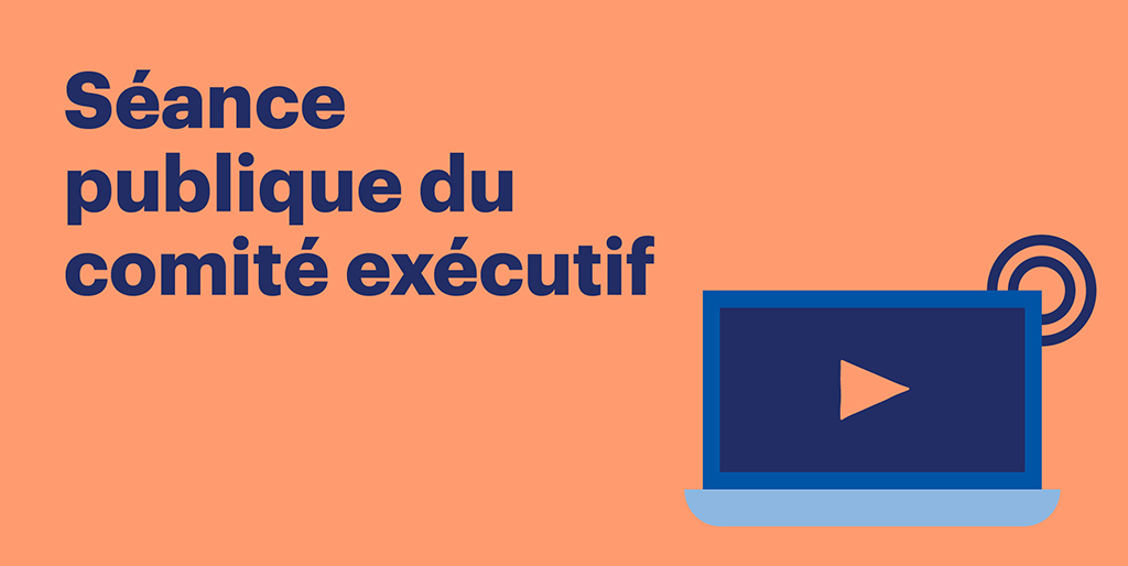 Comité exécutif | Depuis le 3 septembre dernier, les séances publiques du comité exécutif sont désormais diffusées en ligne.  ➡️ bit.ly/48bs1OP