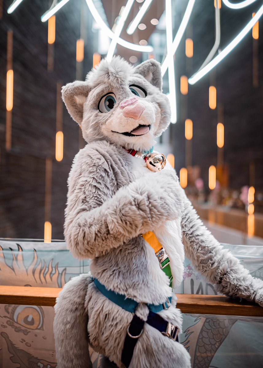 Soft lights, softer paws, silliest looks! ❤️

📸 <a href="/Nico_deer/">Nico 🔜 GLC</a>