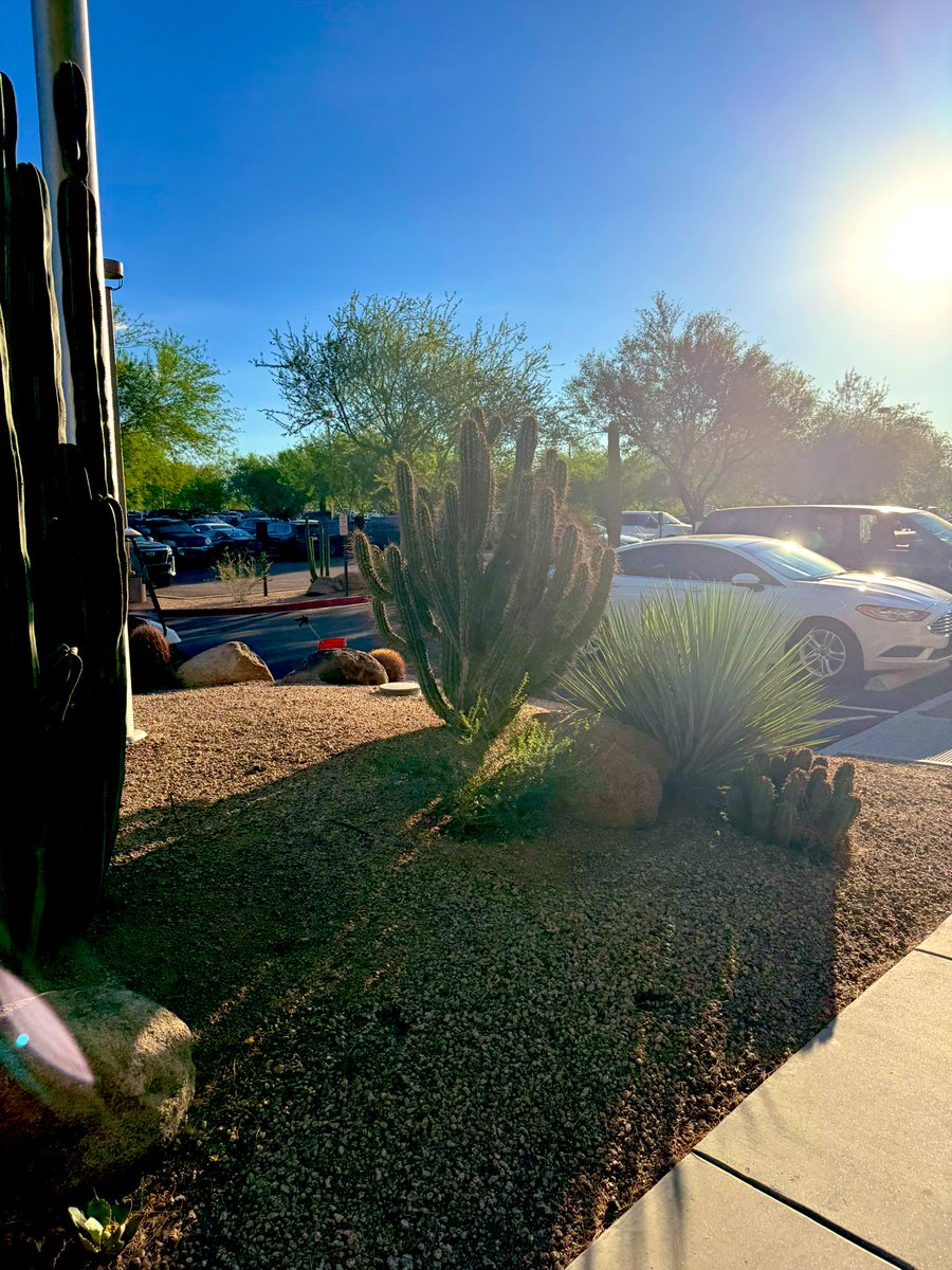 Ram Pathak, M.D. tweet media