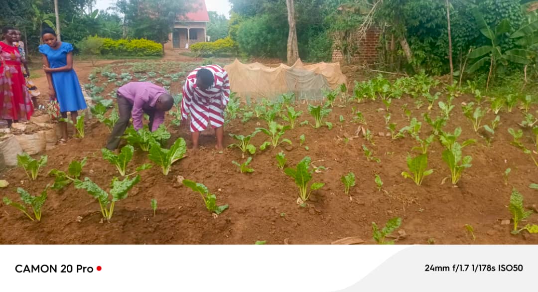 Women Initiatives in Poverty Eradication (WipeUg) tweet media