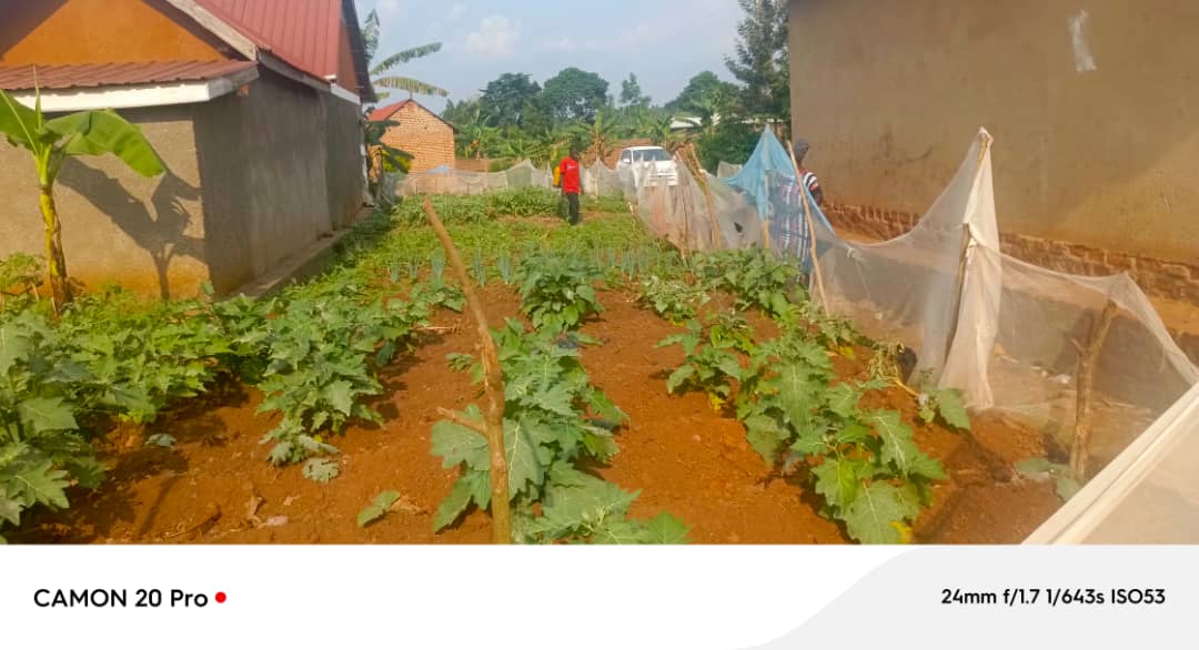 Women Initiatives in Poverty Eradication (WipeUg) tweet media