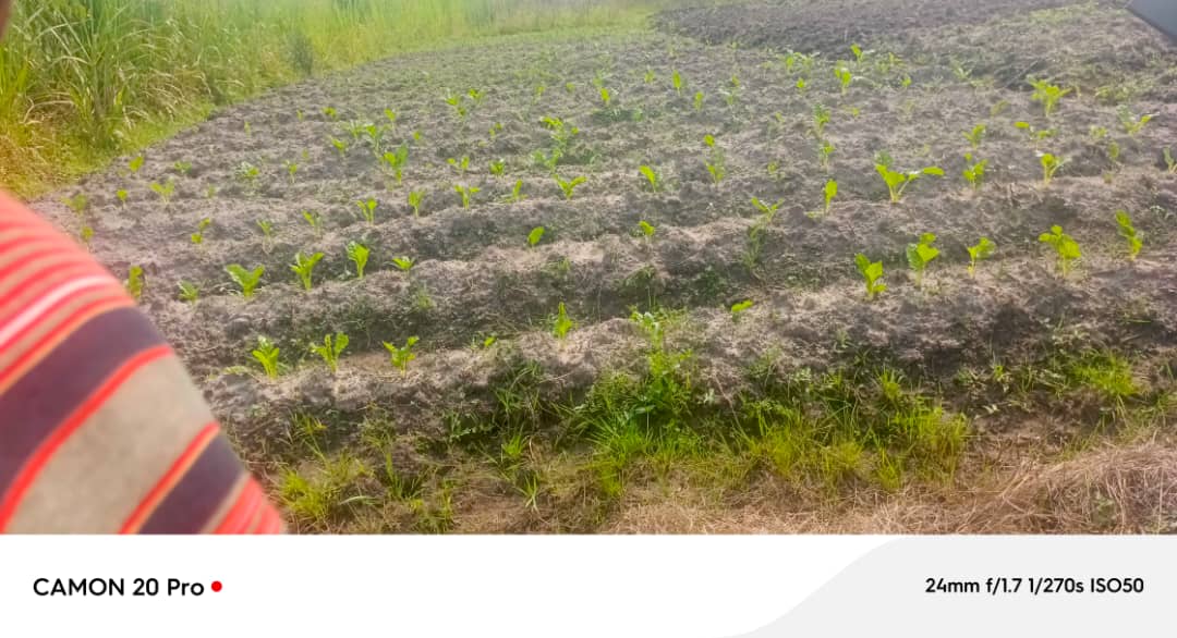 We have empowered 10,000 women to earn incomes from home. These are no longer dependent on their husbands  like before . They now  make money now sustaining their lives . <a href="/WipeUganda/">Women Initiatives in Poverty Eradication (WipeUg)</a> <a href="/fmujeres/">Fundación Mujeres</a> <a href="/KingNadiopeIV/">Kyabazinga of Busoga</a> <a href="/GovUganda/">Government of Uganda</a> #EmpoweringCooperatives #EndGBv #Empowerwomen