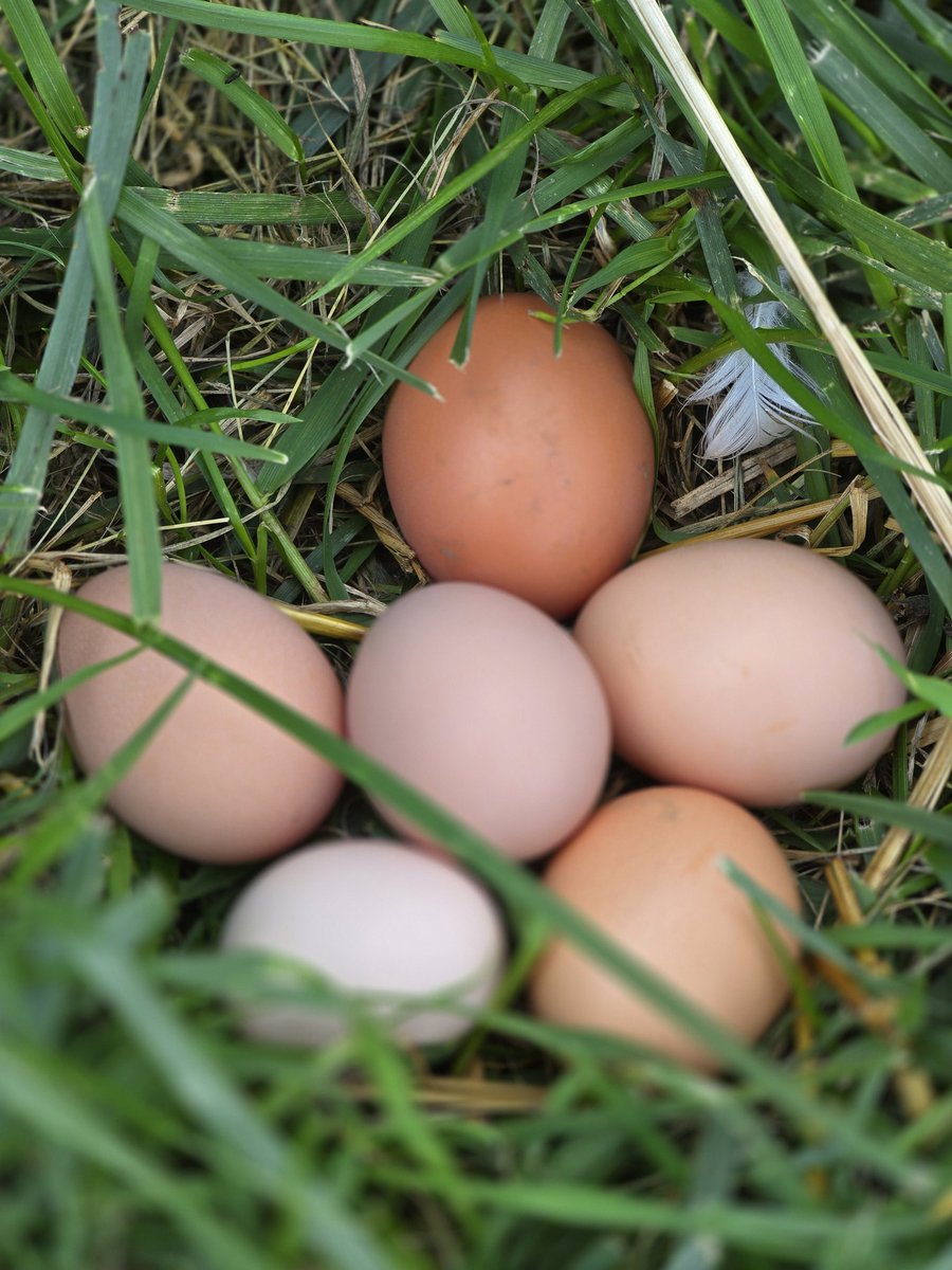 AlienEnergy 111 👽 ✨🔮Daveeda ♎️🎨📸 tweet media