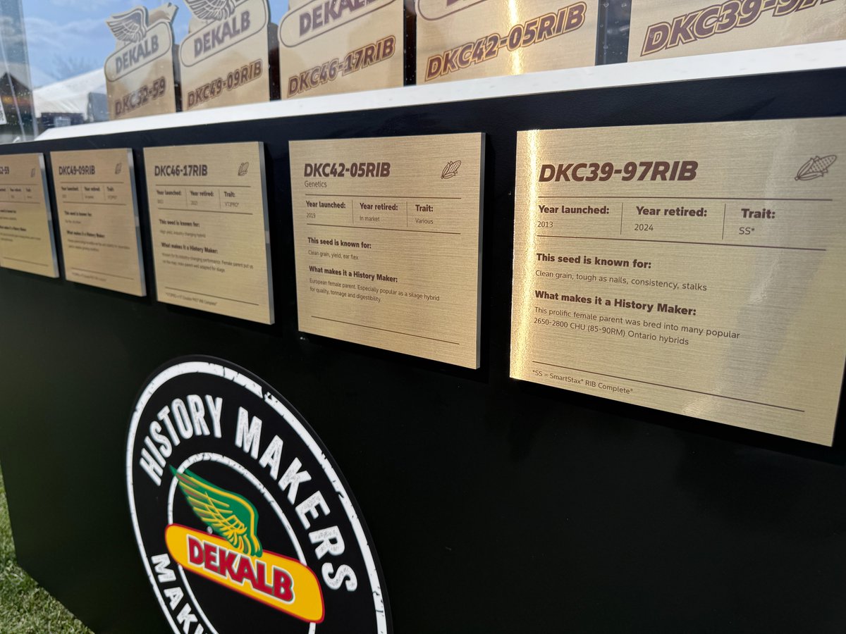 Don't miss the DEKALB History Makers exhibit at #COFS25! 

The idea is from DEKALB growers talking about their favourite seed, says Kate Hyatt, marketing portfolio lead with Bayer. "The result is a celebration of our most popular seed and a look forward to continued innovation."
