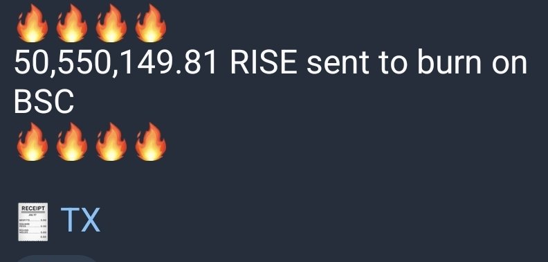 Bsc Risers Dom$RISE (@Dom_RISER) / Posts / X
