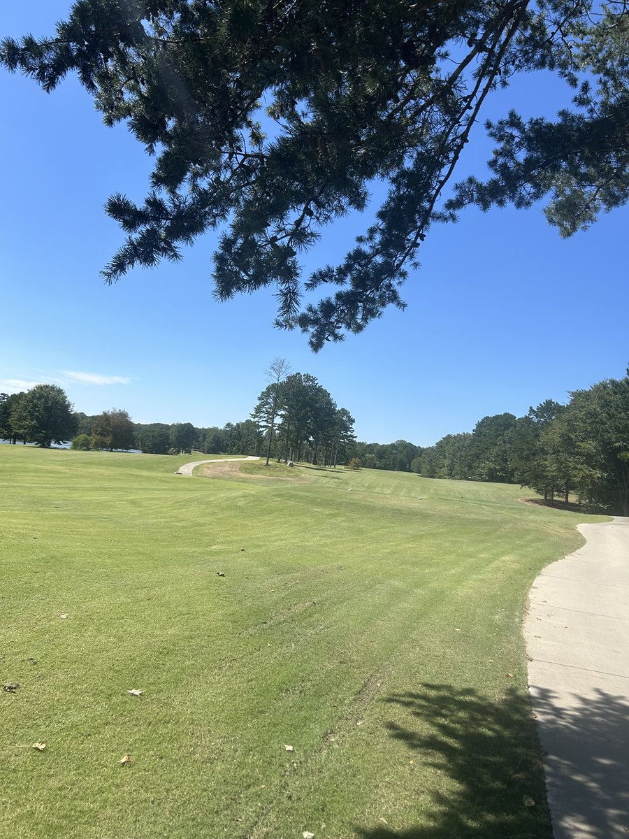 Moonhead tweet media