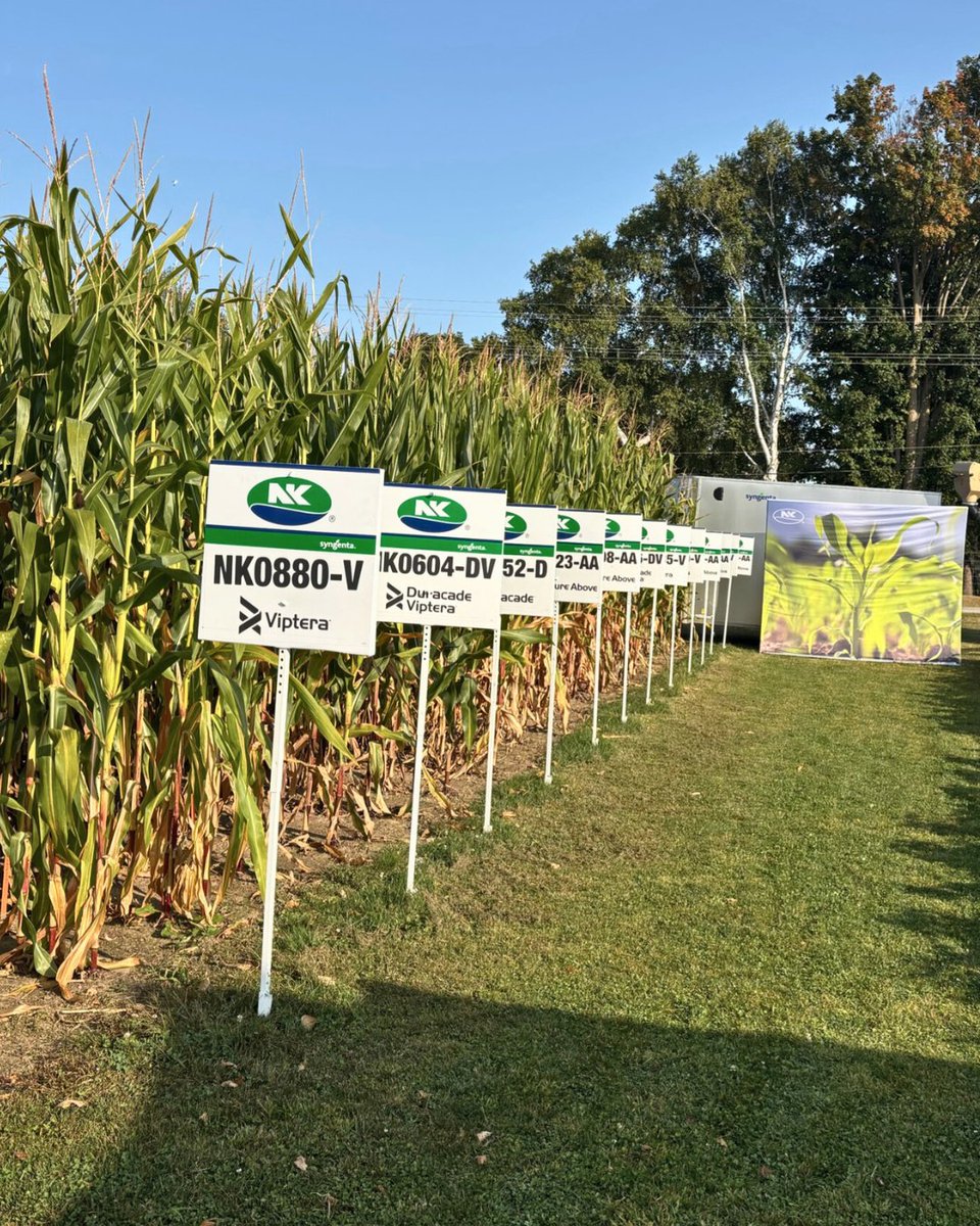 The booth is open and the rows are looking good! If you're at #COFS this week, come by Booth N-J and visit; we're looking forward to chatting.