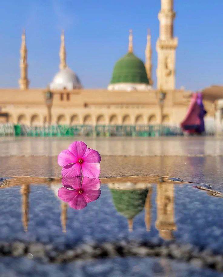ZMynayy's tweet photo. آمدی و جهان  روشن شد 
مبـــاركــــ اســـت ولادتت💚
#ایران_محمدی 
#اتحاد_مقدس https://t.co/oA2lZj4AmX