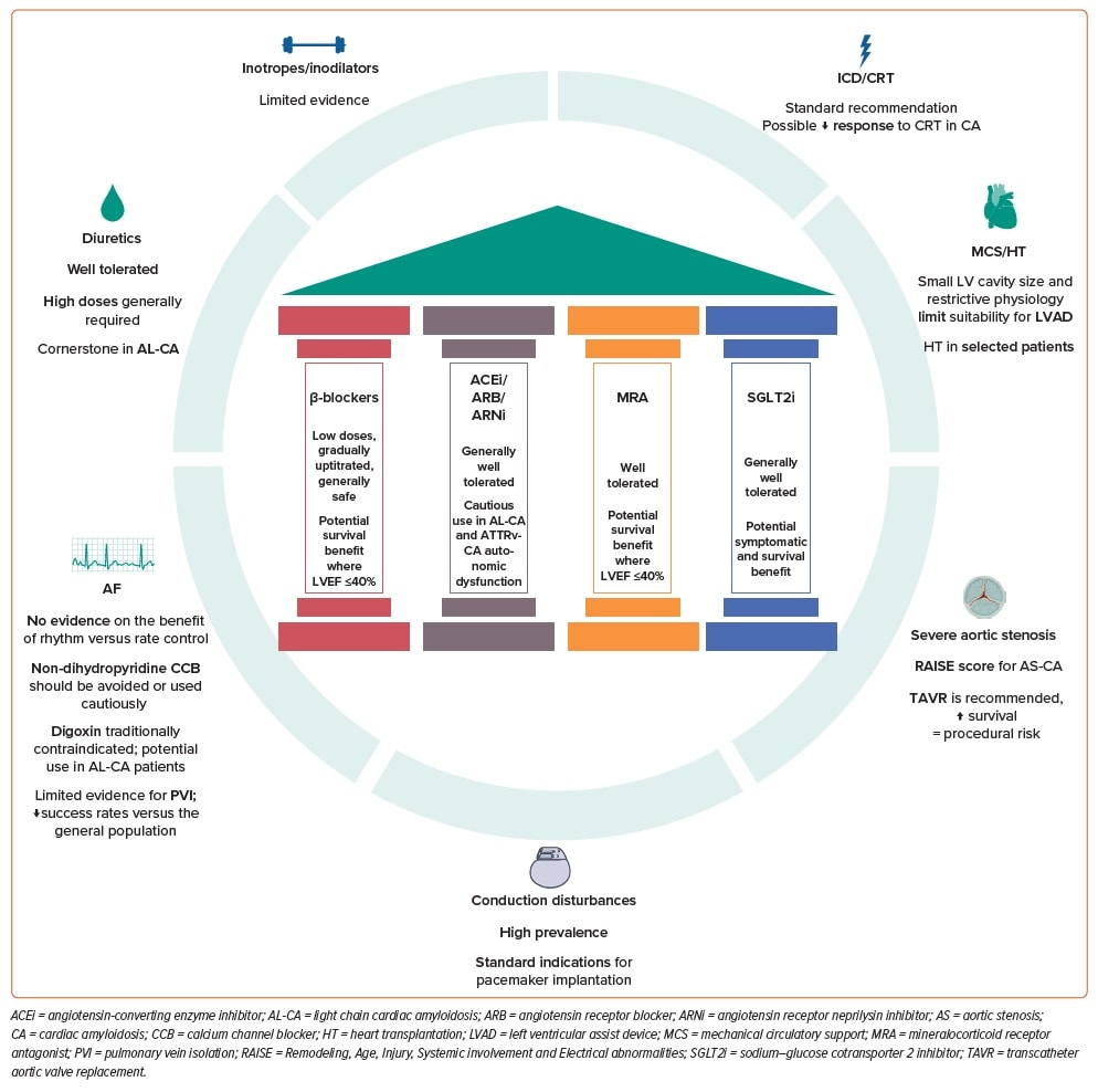 Manejo de la insuficiencia cardiaca en la amiloidosis cardiaca: hacia un cambio de paradigma

🔗DOI 10.15420/cfr.2024.33

#OpenAccess #MedEd
