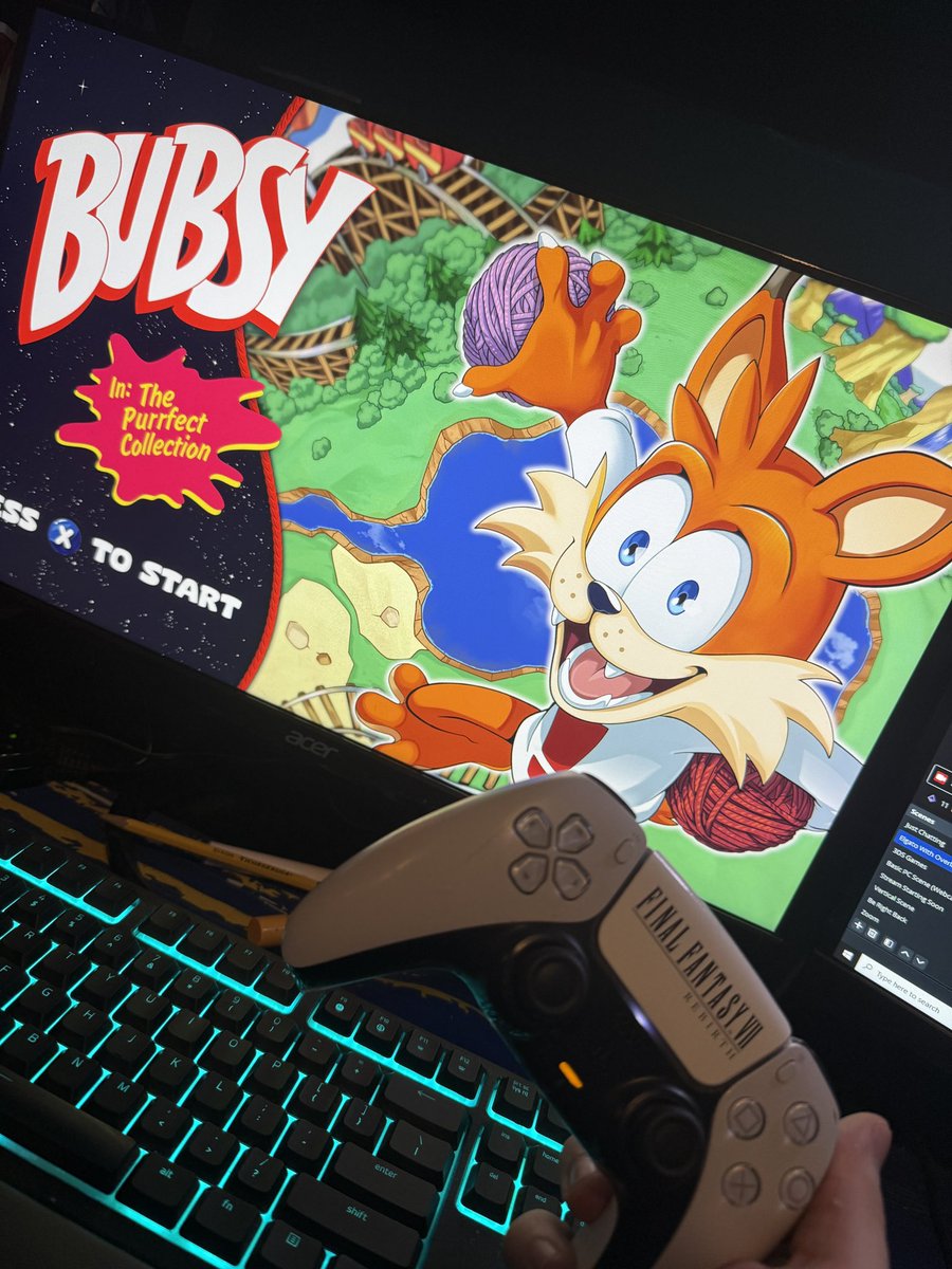 This is my 9 layers of Hell. Bubsy’s Inferno begins.