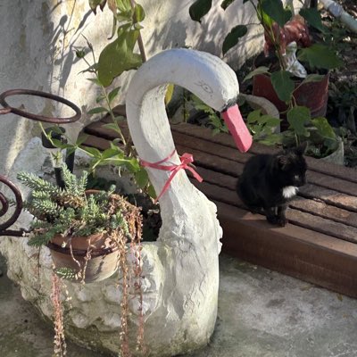 chostanLL's tweet image. #cutefriends