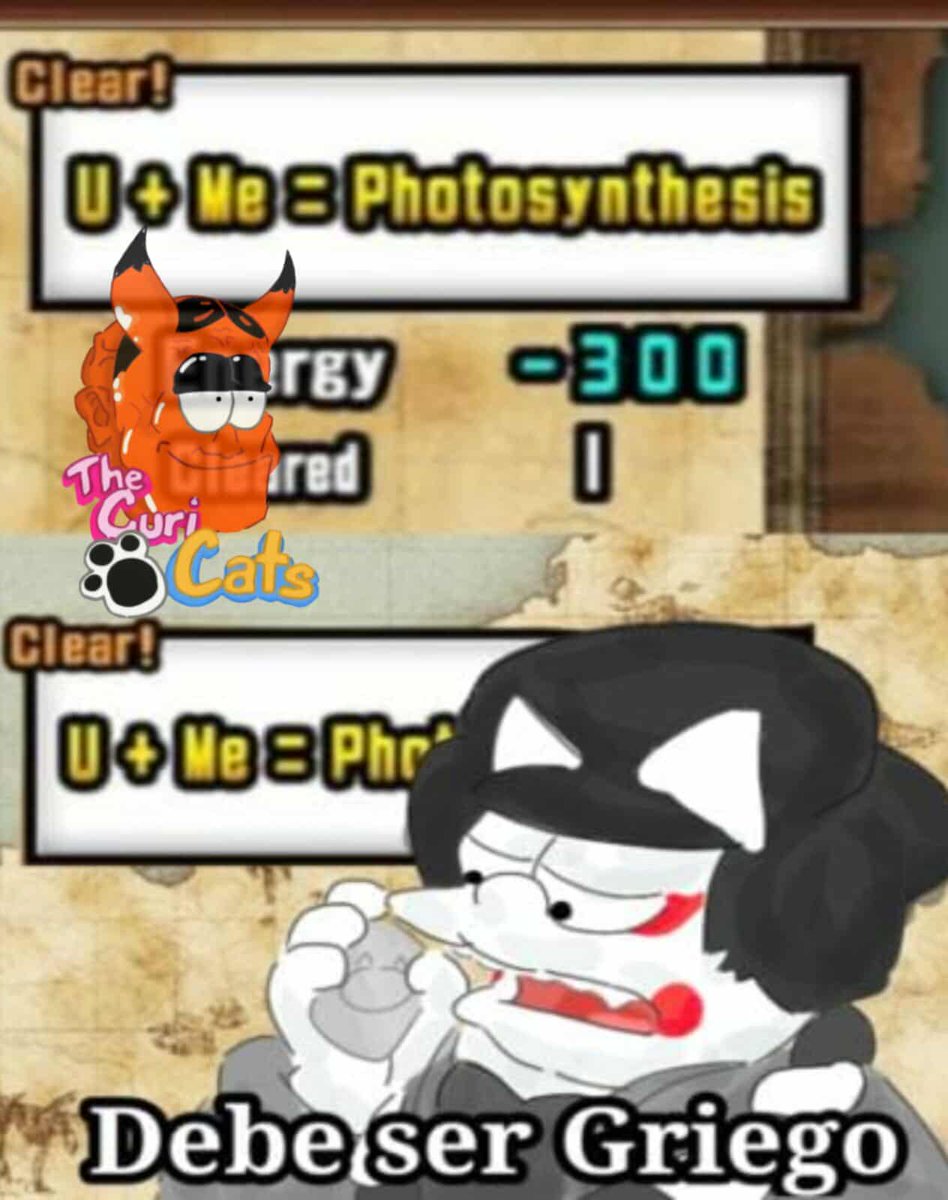 TheCuriCats's tweet image. #TheBattleCats #にゃんこ大戦争