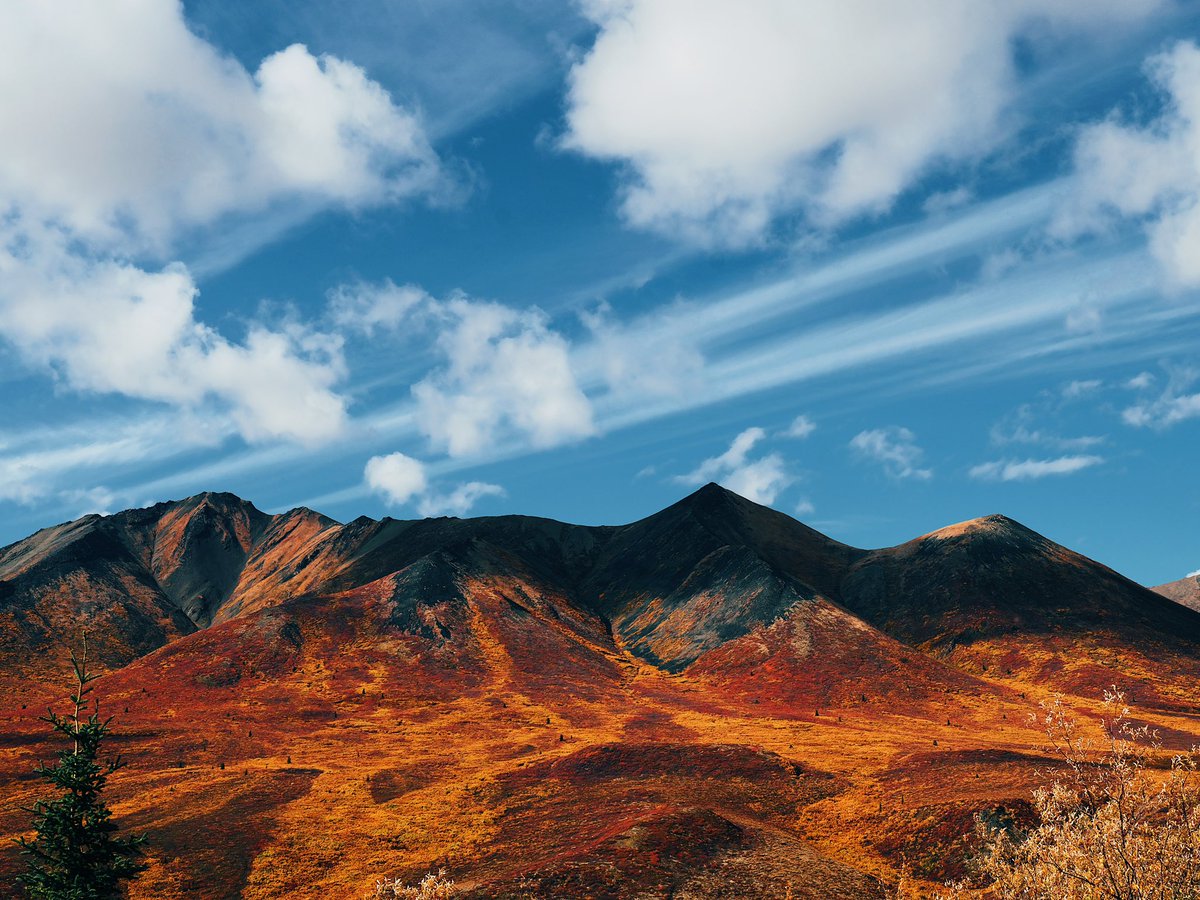 Natsuho Yamanaka tweet media