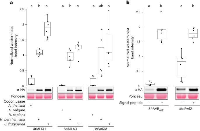Nature Protocols tweet media
