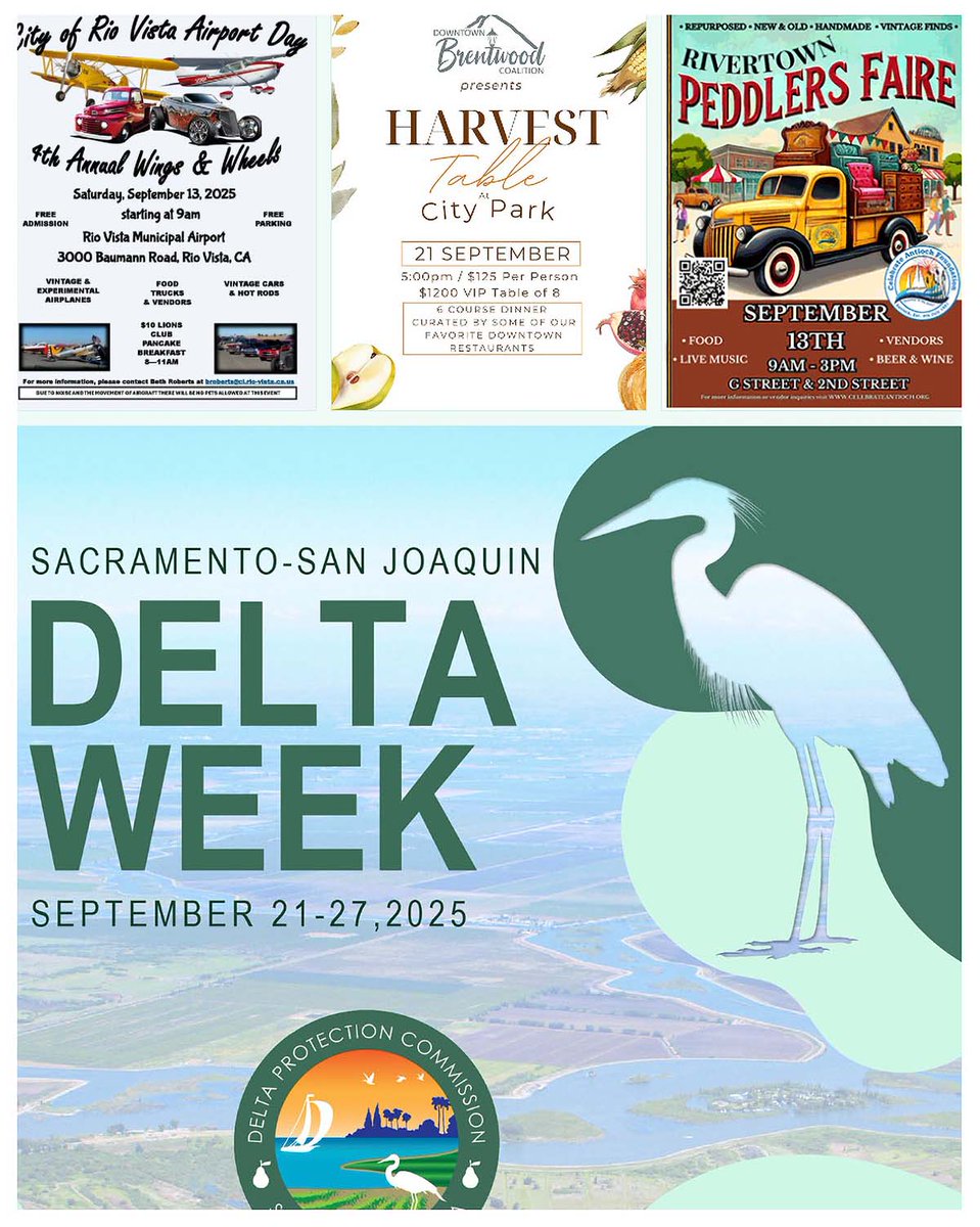 Delta Protection tweet media