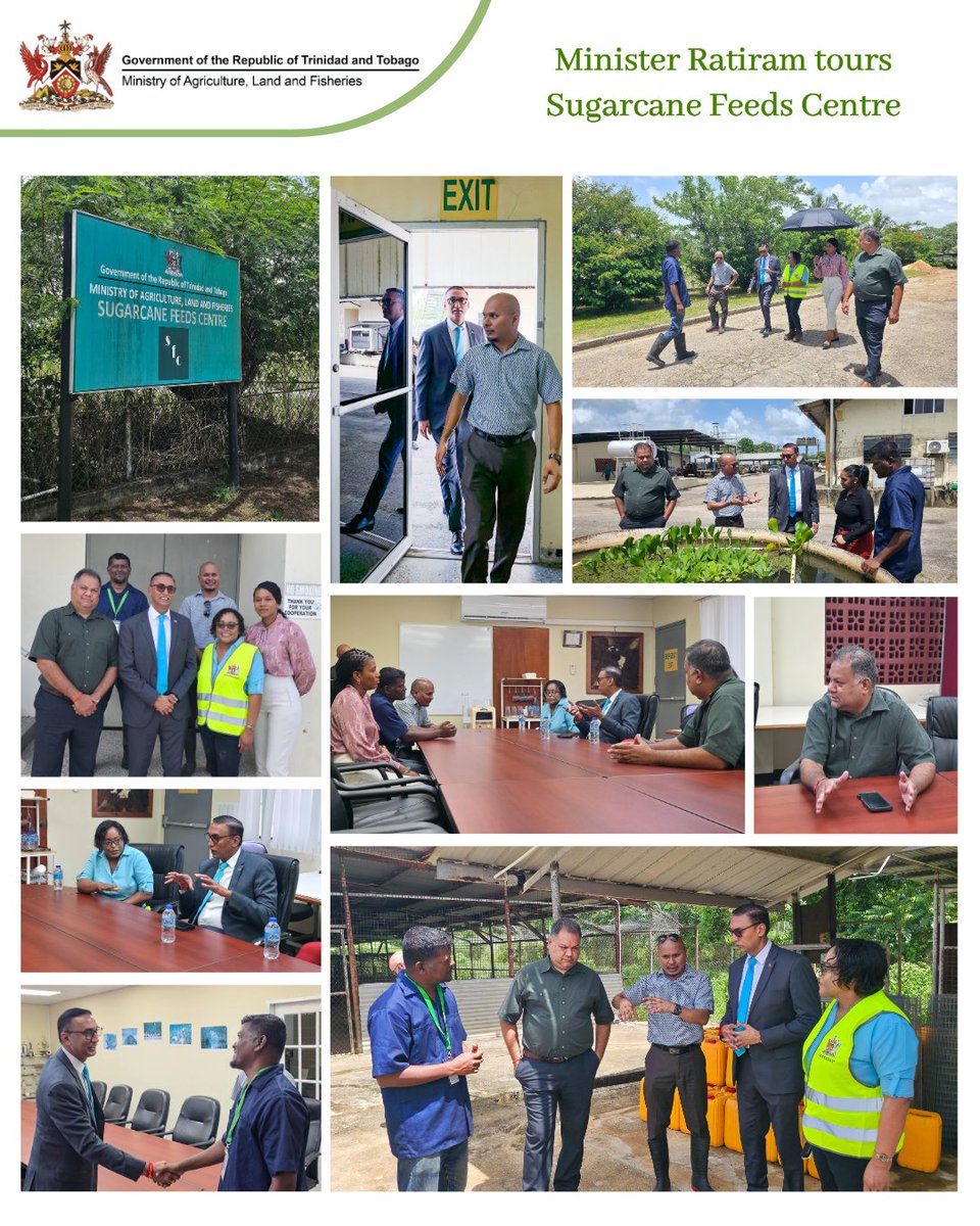 maftt_'s tweet image. Minister Ratiram Tours Sugarcane Feeds Centre

Learn more: facebook.com/share/p/1B49vk…

#MALF #SFC #SugarcaneFeedsCentre #AnimalProductionAndHealth #APH #FoodSecurity #AgricultureTT
