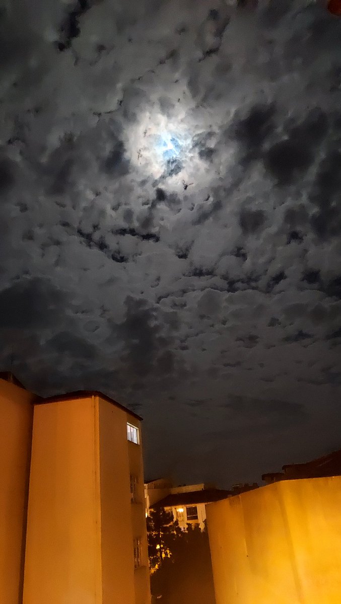 ...günün muhakemesi beynimde dans etmeye çalışsa da, 
sana bakınca başka melodiyle dans  başlıyor...

geceye❤️🌙✨️