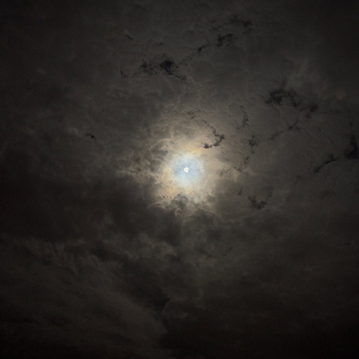 « يذكّرني القمر ظلّك/ عجَب ياللي ظلالك نور »