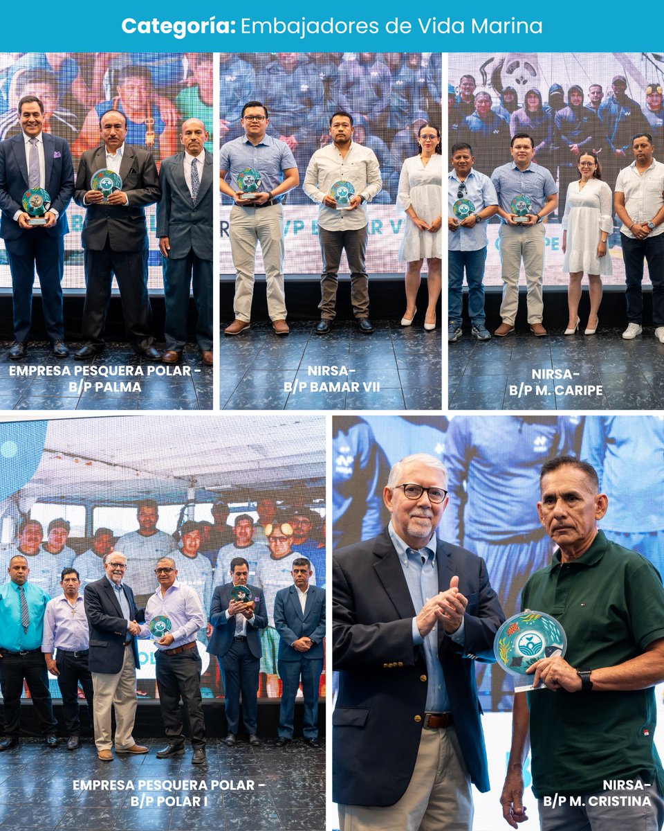 PesqueriaEc's tweet photo. Ellos son los protagonistas de los Premios Vida Marina 2024 🌊🏆
Presentamos a quienes han demostrado que la sostenibilidad es posible con acción y trabajo en equipo. Estas empresas y tripulantes del FIP de Pelágicos Pequeños lideran con hechos el camino hacia una #Pescaresponsable.

#PremiosVidaMarina