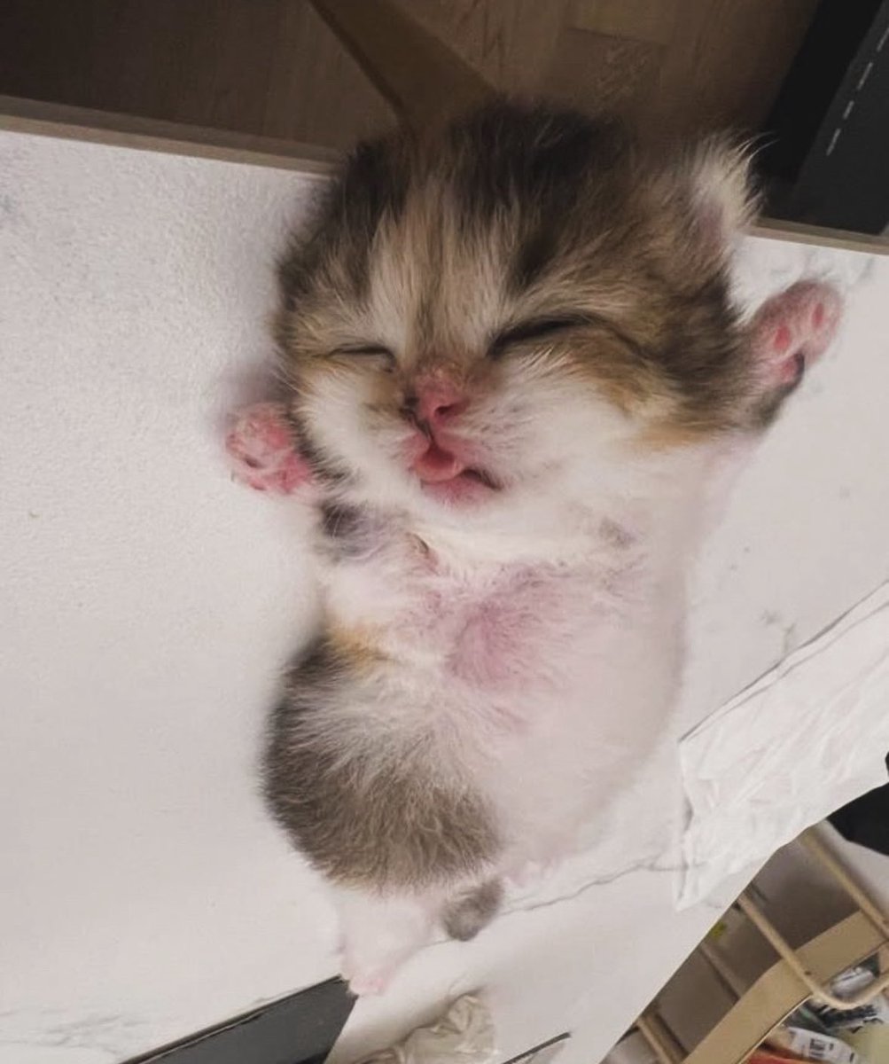 avui dormire per primera vegada en casi 8 setmanes sola…