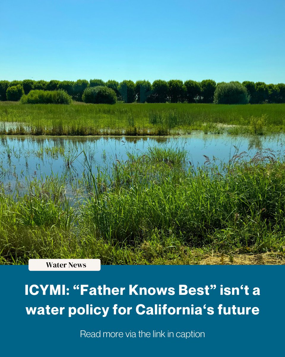 RestoretheDelta's tweet image. #ICYMI: “Father Knows Best” isn’t a water policy for California’s future

Pieces in Maven's Notebook &amp;amp; the Sacramento News &amp;amp; Review shine a light on how California’s water future cannot be dictated by costly tunnel projects and rushed legislation.

🔗bit.ly/3JSzCrv