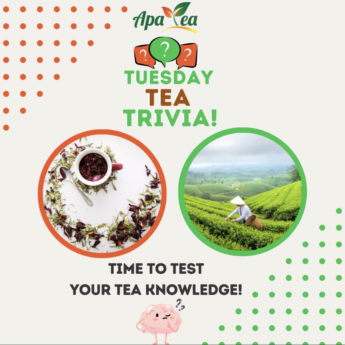 Theofficiallapa's tweet image. It’s that time of the week again, Tuesday trivia🥳 let’s see who can’t tell their spices apart from their teas👀 #Trivia #Teafacts #APATea #Sustainability #Naturalblends
