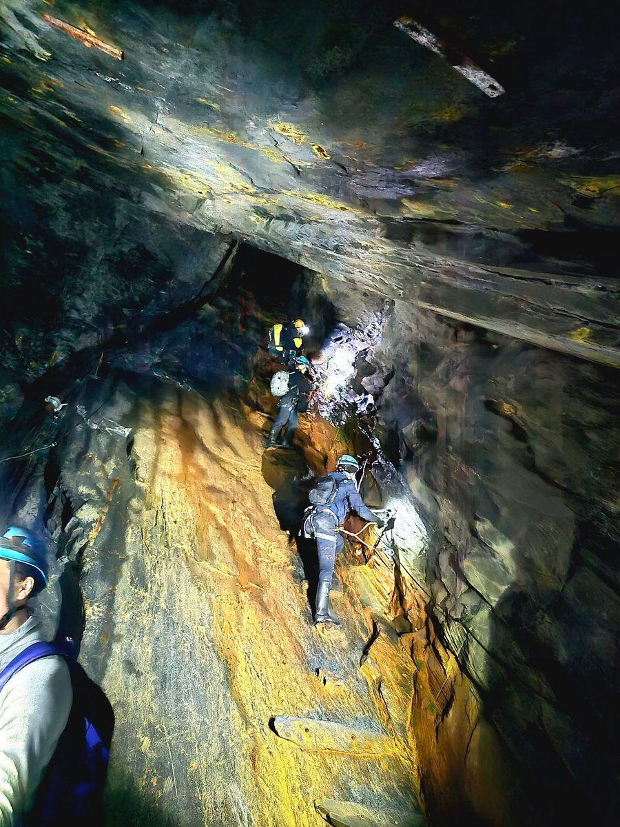 Roxi the Red Panda tweet media