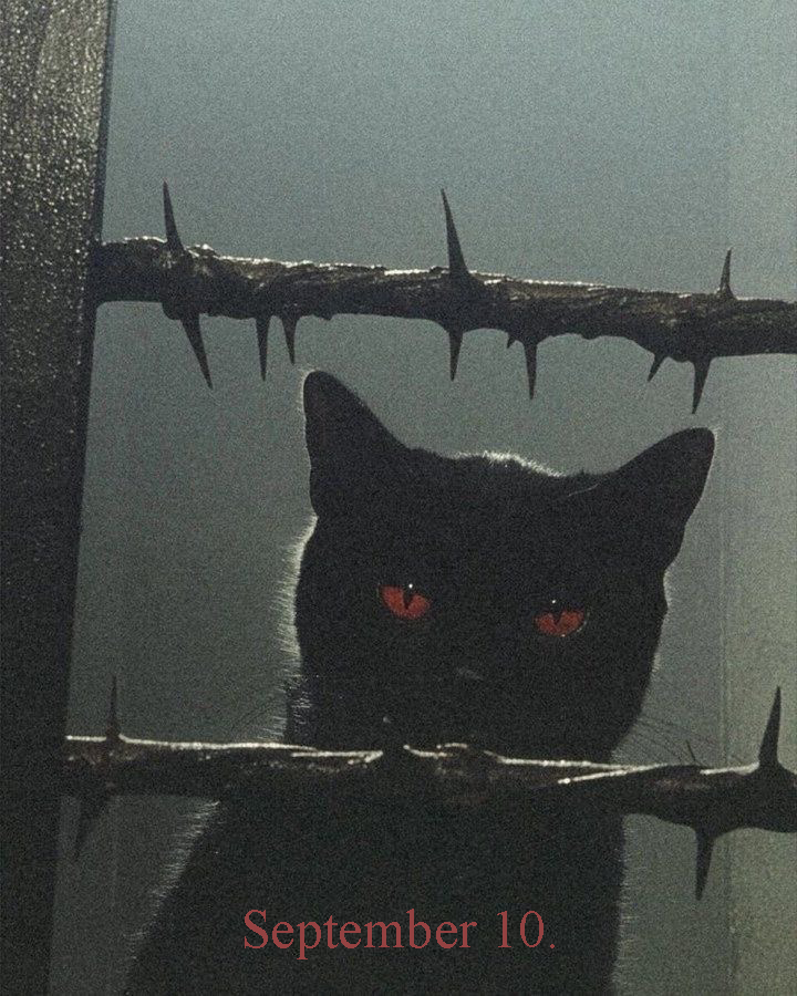 solisolsoli's tweet image. 