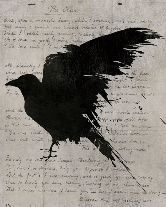 Black. (@blackdreamvibes) on Twitter photo 
