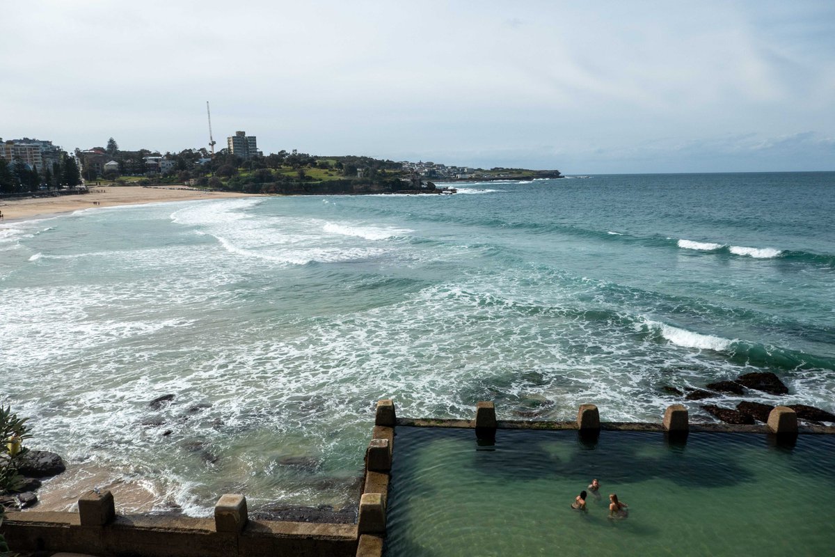 Chris Arnade 🐢🐱🚌 tweet media