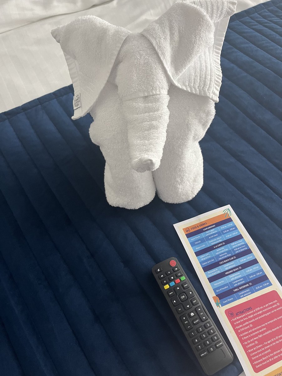 Someone is looking for a bigger tip on this cruise! Roll Tide🐘🅰️