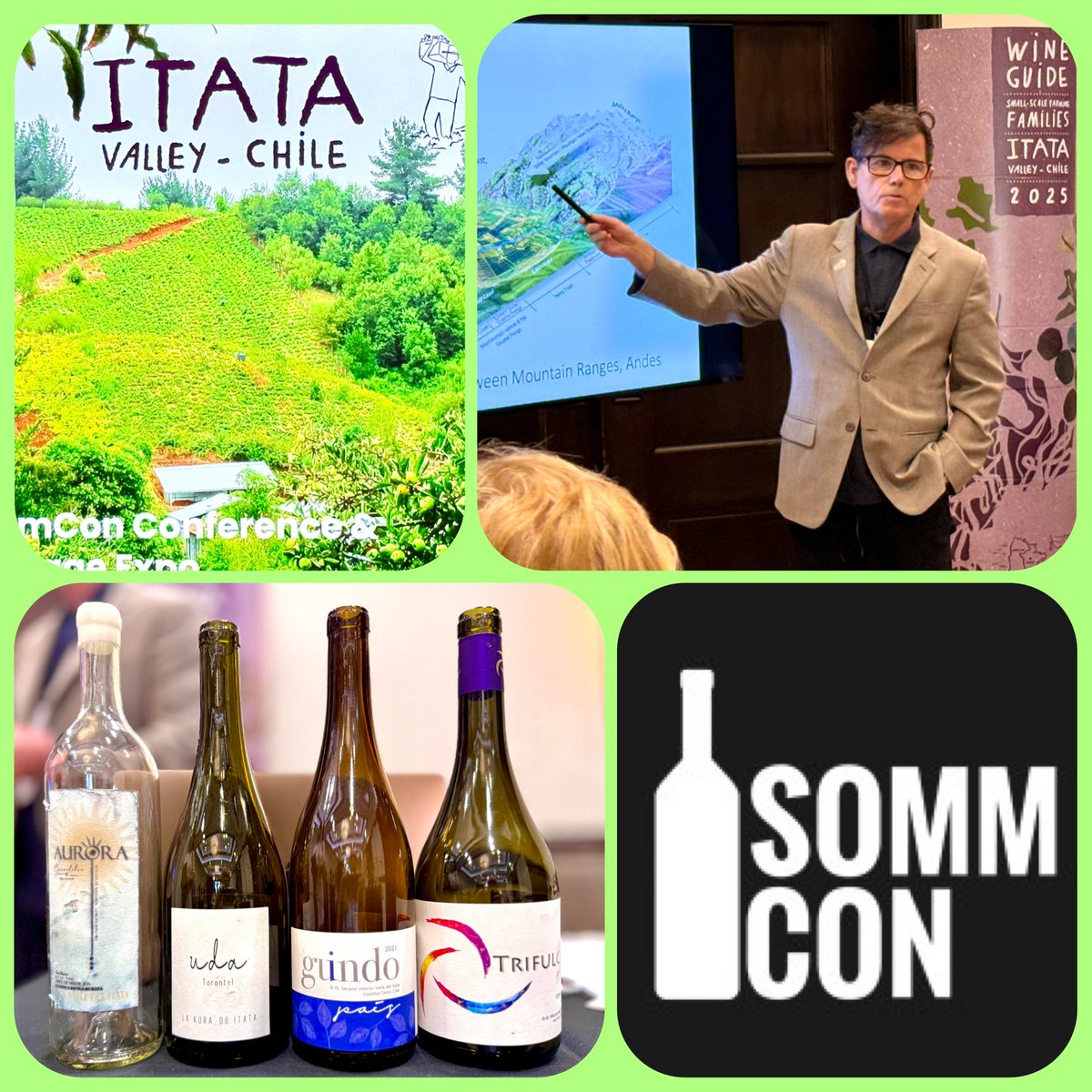 Itata Reimagined: Exploring Chile’s Oldest Wine Region by Pablo Ugarte🍷🥂😍 Enjoyed his seminar and artisnal wines from Itata!!!

#sommconsd #sommcon #DipWSET #itatawine #associationofwineeducators #sommelier #wsetdiploma #circleofwinewriters #societyofwineeducators #chileanwine
