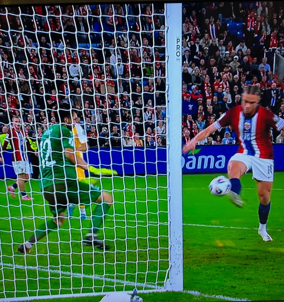 Martin Fisher tweet media