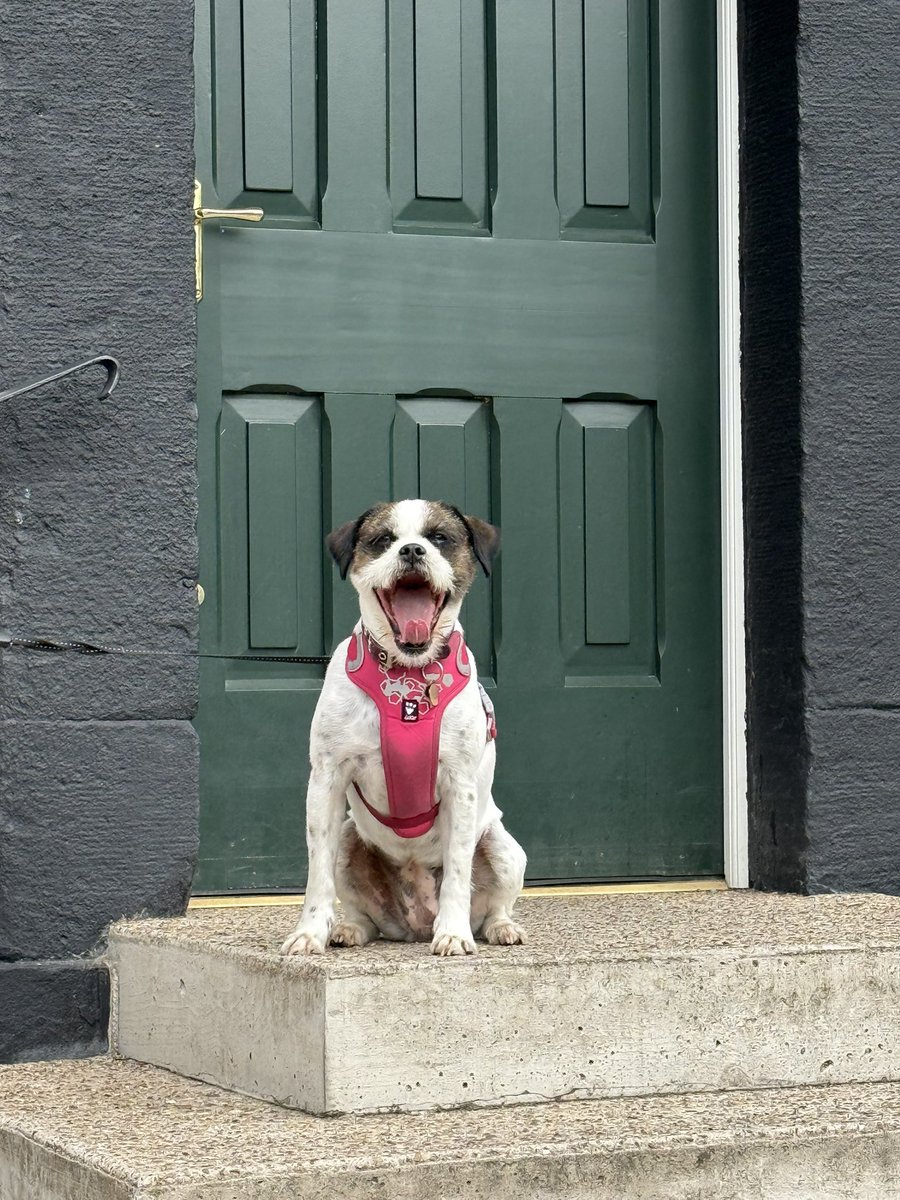 Stacey 🌻 tweet media