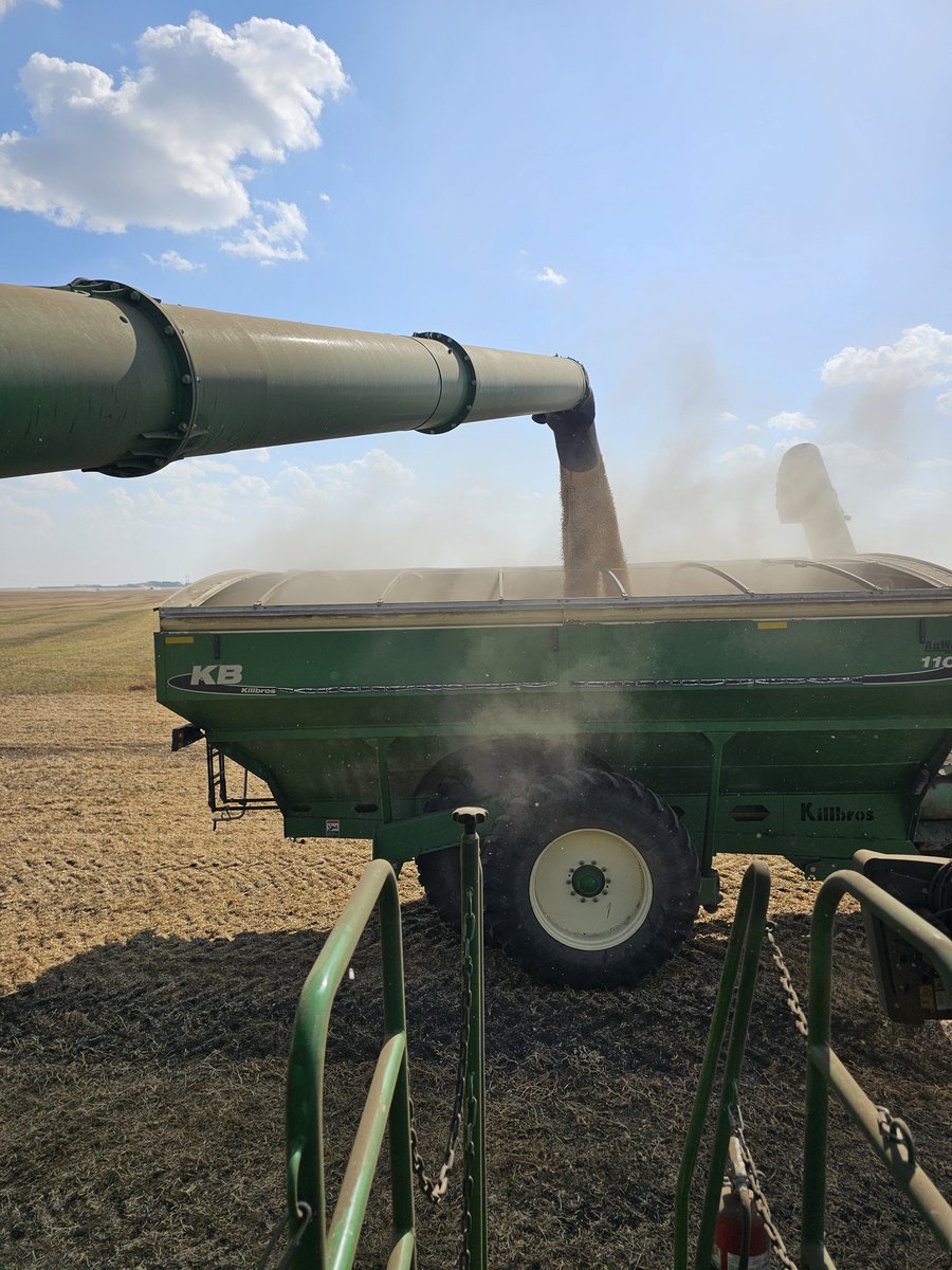 My first ride in the combine this harvest!