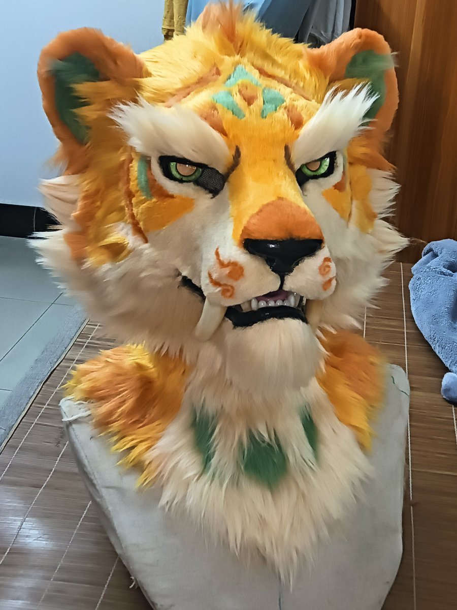 qijin（霉虎工作室）➡️Hi furry tweet media