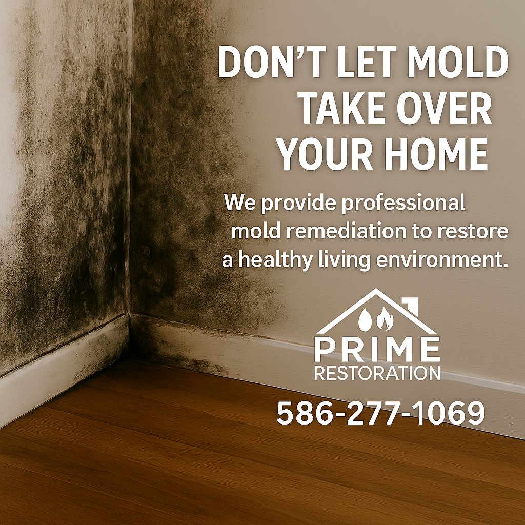 PrimeRestoratio's tweet image. 🦠 Don’t Let Mold Take Over Your Home
Mold spreads quickly, damaging walls, floors, and air quality. Prime Restoration provides expert remediation to restore a healthy and safe living environment.

📞 Call Prime: 586-277-1069

#MoldDamage #MoldRemediation #PropertyRestoration
