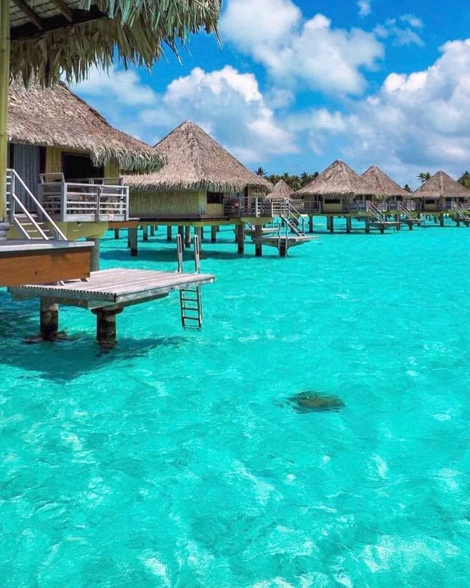 RubyJohnso53395's tweet image. Bora Bora