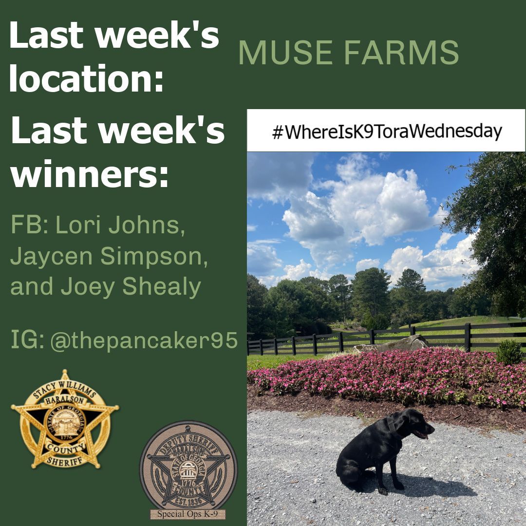 HaralsonSheriff's tweet image. Y’all did a great job guessing K-9 Tora’s location last week! Sgt. Chandler took K-9 Tora to Muse Farms. Congratulations to all of our winners!!

Stay tuned to see where K-9 Tora will be this Wednesday…

#K9Tora🐾💙
#WhereIsK9ToraWednesday
#WorkingPup
#HideAndSeek
#HCSO