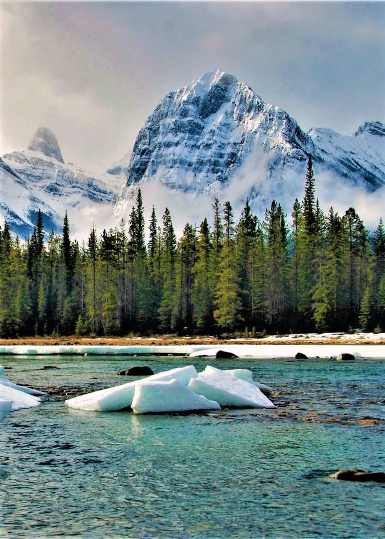 RubyJohnso53395's tweet image. Jasper National Park,Alberta-Canada.