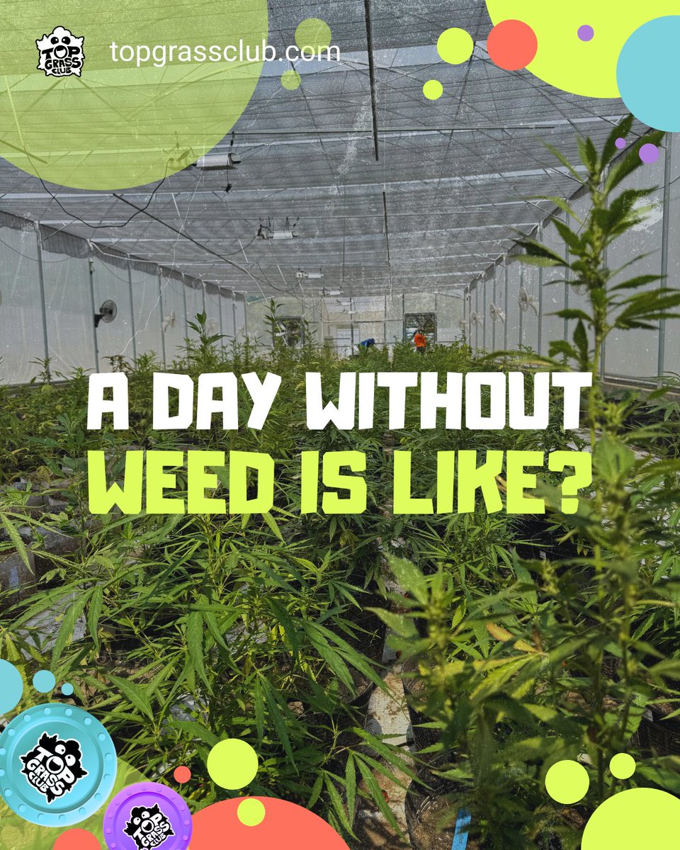 Top Grass Club tweet media