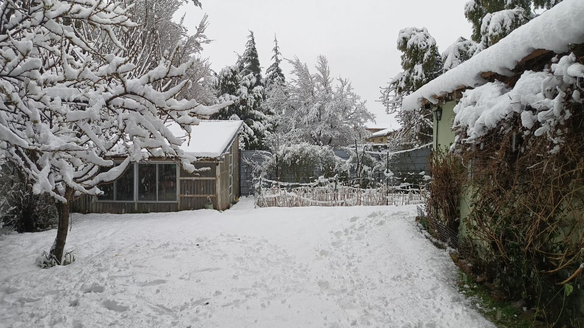 9SEP | 🌨️ Esta mañana se registraron intensas nevadas en la cordillera patagónica
 
Reportes de 📹 CharlasMet muestran la nieve en Bariloche, en donde ya se acumularon 44mm. La región continúa bajo alerta 🟨 por lluvias hasta la madrugada del miércoles

smn.gob.ar/alertas