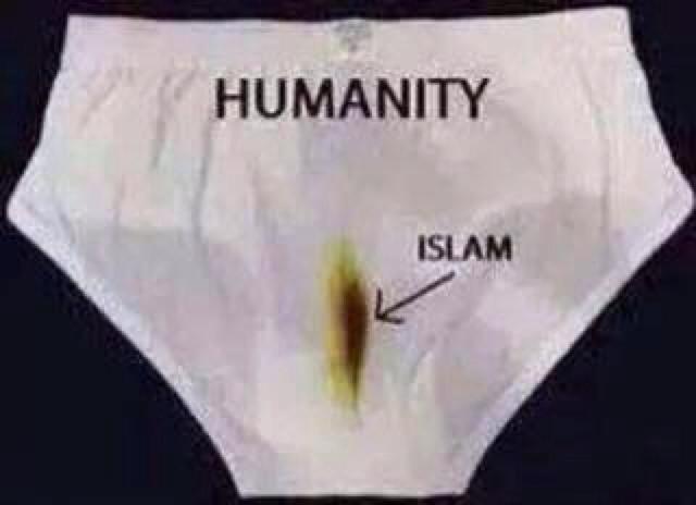 <a href="/LizaRosen0000/">Liza Rosen</a>