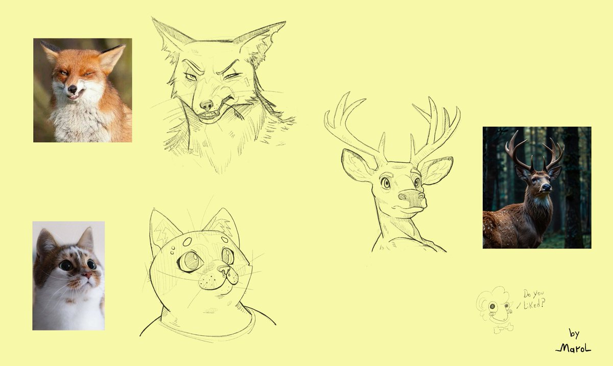 Studies 02. Today I practiced turning some animal pictures into fursonas. I focused a lot on using simple shapes before adding details. ✍️