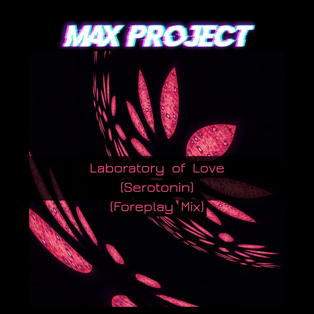 Maximiliano Cordido tweet media