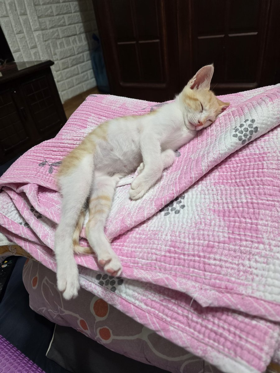 점점 크는구나...